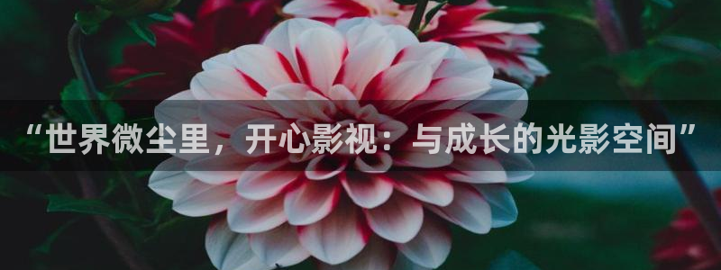 神马电影网光棍影院