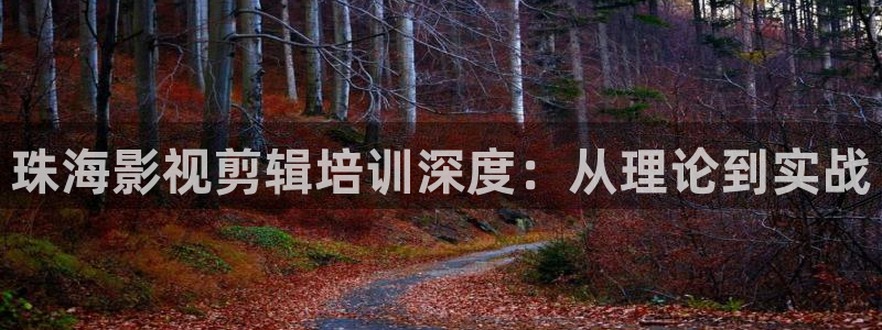 电车魔女光棍影院